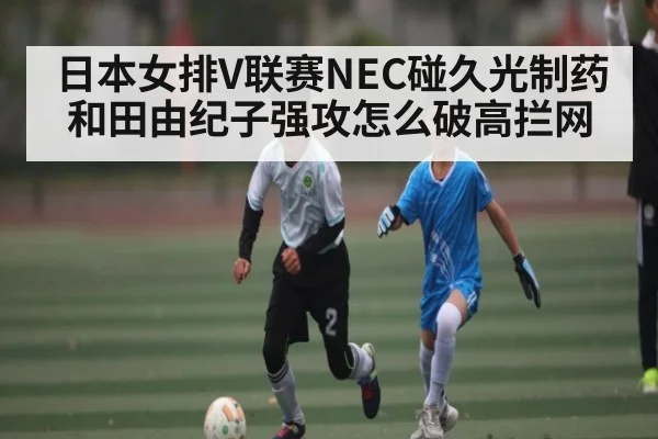日本女排V联赛NEC碰久光制药 和田由纪子强攻怎么破高拦网